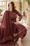 Cinnamon Charm - Rust Boring Chikankari Handmade Gala Premium Viscose 3-Piece